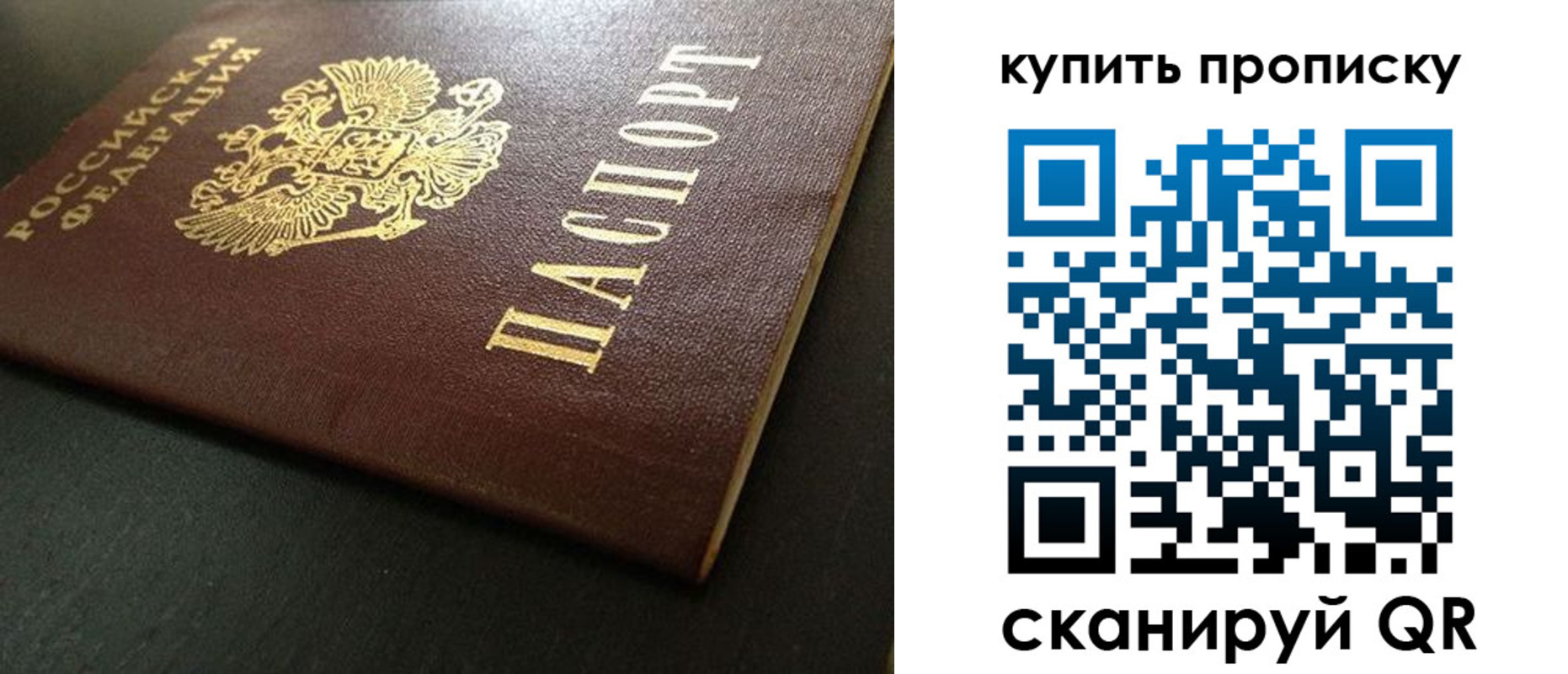 прописка законно в Химках